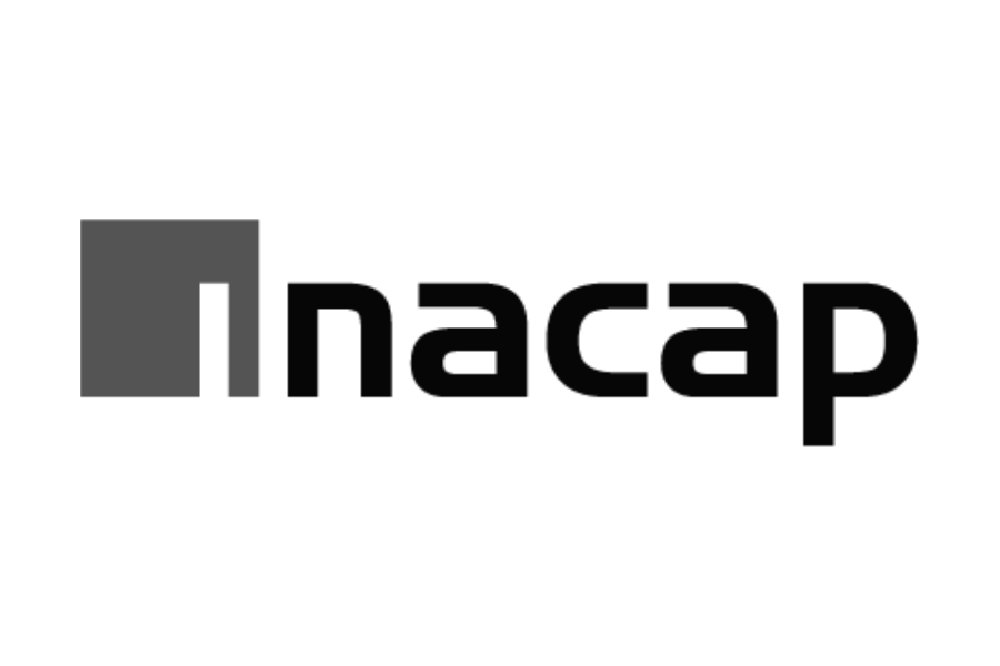 Profesionales de INACAP de todo Chile se capacitan en inclusión con Academia Mis Talentos